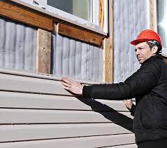 Best Historical Building Siding Restoration  in Waterloo, NE